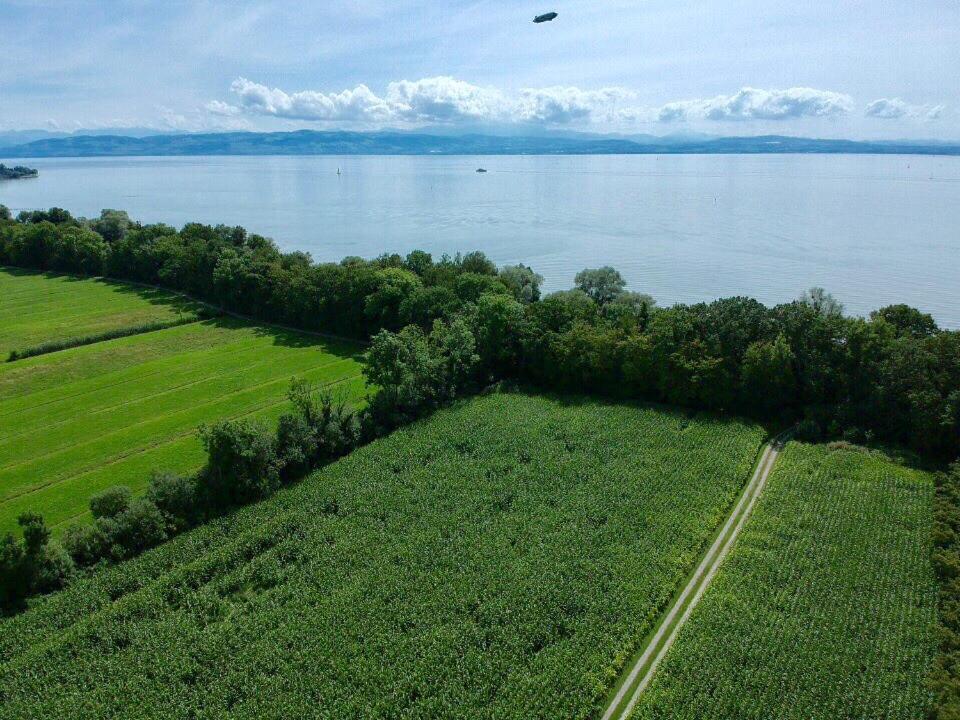 Wohlfuehlloft Seekretzer Mit Privatem Seezugang 腓特烈港 外观 照片